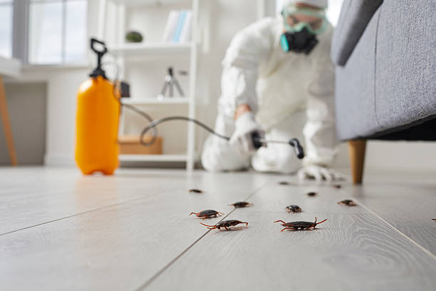 Post-Treatment Bed Bug Interceptor Monitoring in Placerville