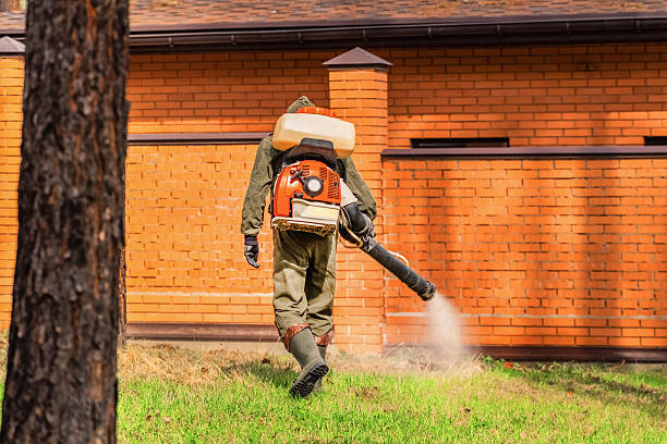 Bed Bug Clearance Verification and Documentation in Placerville